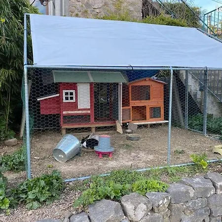 Gite Oustalet Avec Piscine & Spa Ferienhaus Generargues